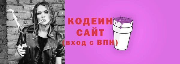 индика Пенза