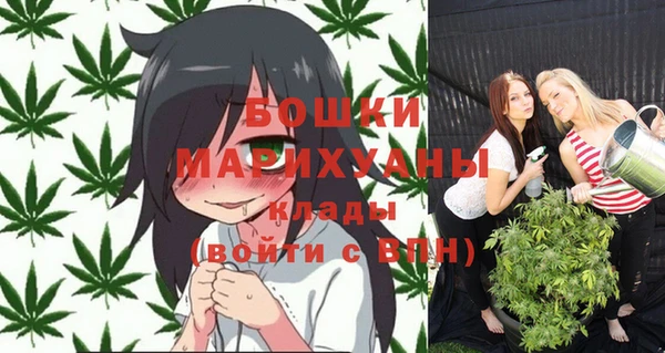 метадон Медвежьегорск