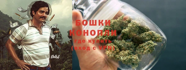 шишки Балашиха