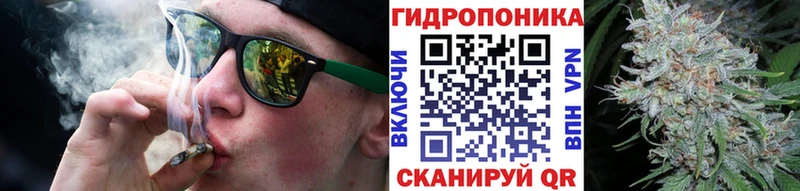 Каннабис VHQ где купить Норильск